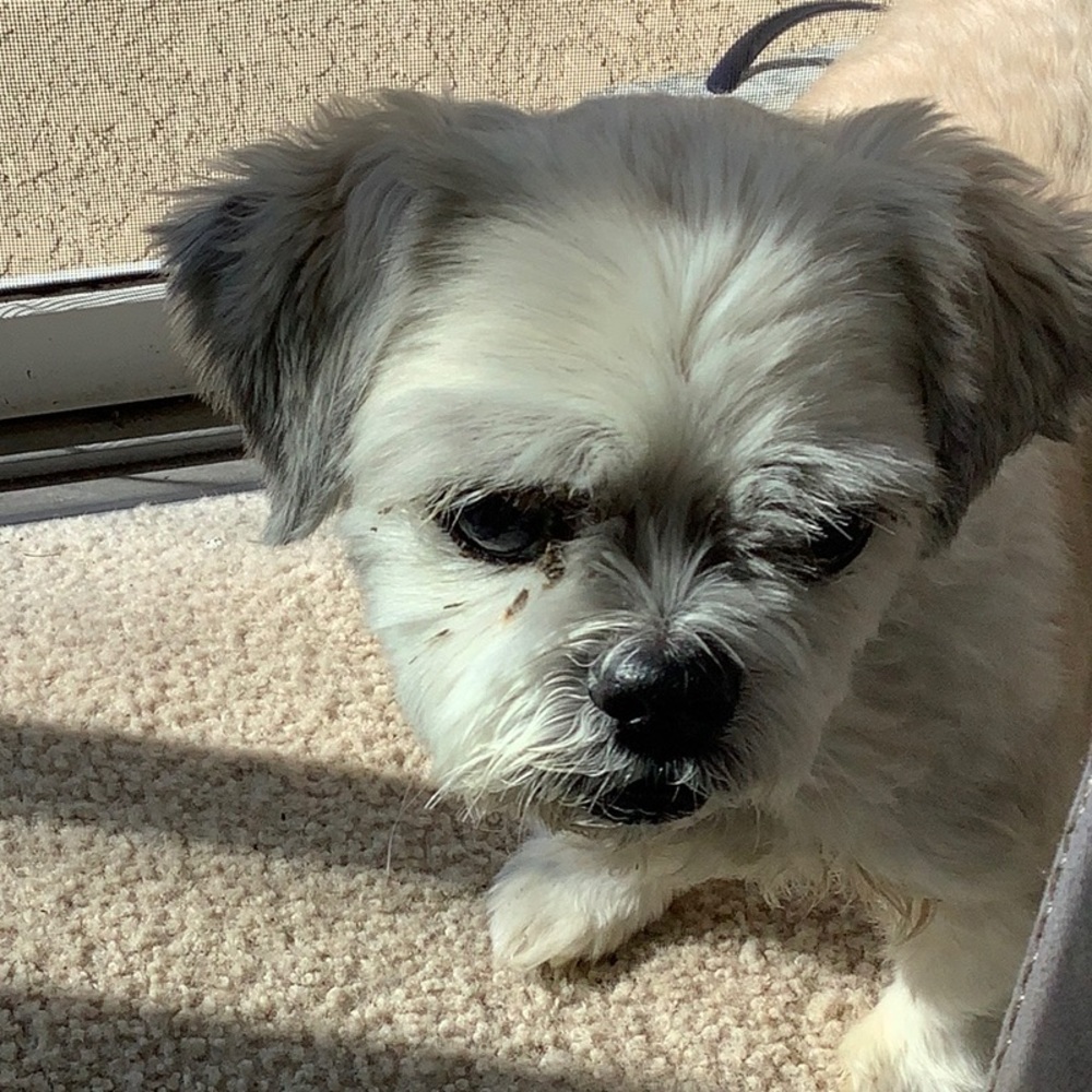 Meet your Posher, Adriana